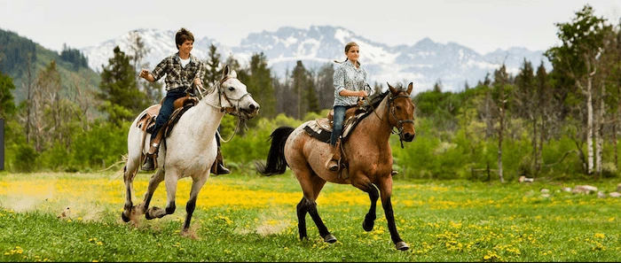 Confident plus-size woman riding Christchurch a horse through a field with a smile on her face.